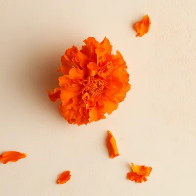 Lyc-O-Lutein®